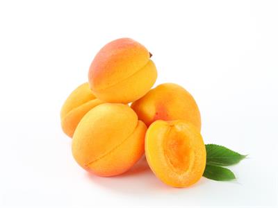 Apricot