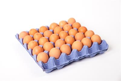 Eggs Free Range Mixed Grade 6x30pk Carton WHANGARIPO