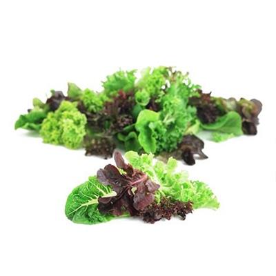 Lettuce Infusion Blend 500g