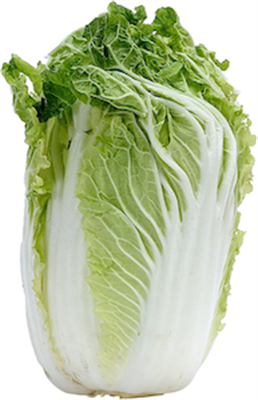 Won Bok Chinese Cabbage